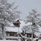 Winterfotos SAMSTAG 2013 _31__jpg-1360413671