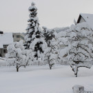 Winterfotos SAMSTAG 2013 _10__jpg-1360413583