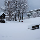 Winterfotos SAMSTAG 2013 _42__jpg-1360413719