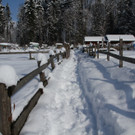 IMG_6190_jpg-1360417769