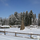 IMG_6192_jpg-1360417793