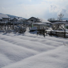 IMG_6194_jpg-1360417807