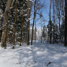 IMG_6200_jpg-1360417828