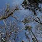 IMG_6203_jpg-1360417849