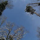 IMG_6209_jpg-1360417866