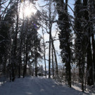 IMG_6218_jpg-1360417900
