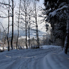 IMG_6221_jpg-1360417921