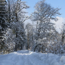 IMG_6244_jpg-1360417956