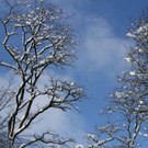 IMG_6249_jpg-1360417979