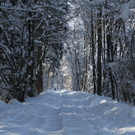 IMG_6264_jpg-1360418017