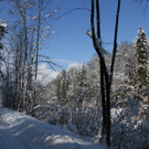 IMG_6285_jpg-1360418098