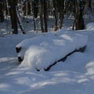 IMG_6290_jpg-1360418114
