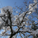 IMG_6321_jpg-1360418185
