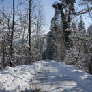 IMG_6324_jpg-1360418209