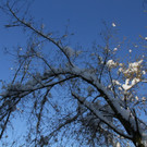 IMG_6327_jpg-1360418230