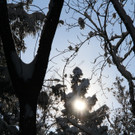 IMG_6344_jpg-1360418251
