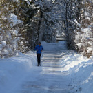 IMG_6351_jpg-1360418273