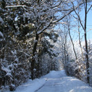 IMG_6367_jpg-1360418303