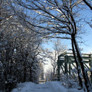 IMG_6372_jpg-1360418329