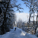 IMG_6383_jpg-1360418370