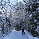 IMG_6421_jpg-1360418466