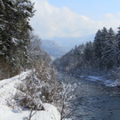 IMG_6446_jpg-1360418581