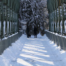 IMG_6449_jpg-1360418603