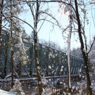 IMG_6457_jpg-1360418627
