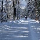 IMG_6553_jpg-1360418650