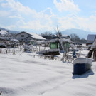 IMG_6602_jpg-1360418775