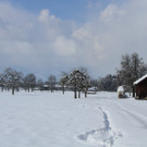 IMG_6615_jpg-1360418812