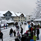 Umzug in Hörbranz
