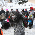 IMG_2686_JPG-1360427447