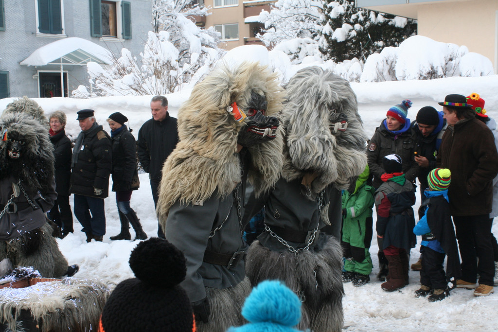 IMG_2687_JPG-1360427461