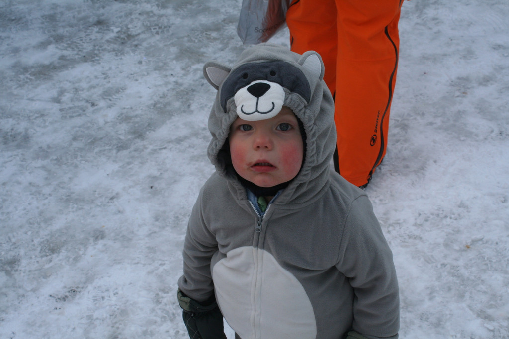 IMG_2711_JPG-1360427744