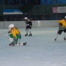Hockey010.JPG
