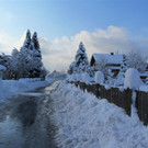 IMG_0302 _Medium__jpg-1360437357