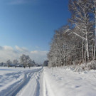 IMG_0343 _Medium__jpg-1360437469