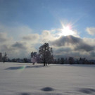 IMG_0345 _Medium__jpg-1360437471