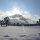 IMG_0346 _Medium__jpg-1360437473