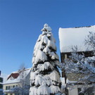 IMG_0372 _Medium__jpg-1360437487