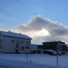 IMG_0375 _Medium__jpg-1360437491
