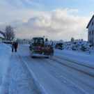 IMG_0377 _Medium__jpg-1360437492