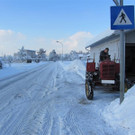 IMG_0381 _Medium__jpg-1360437496