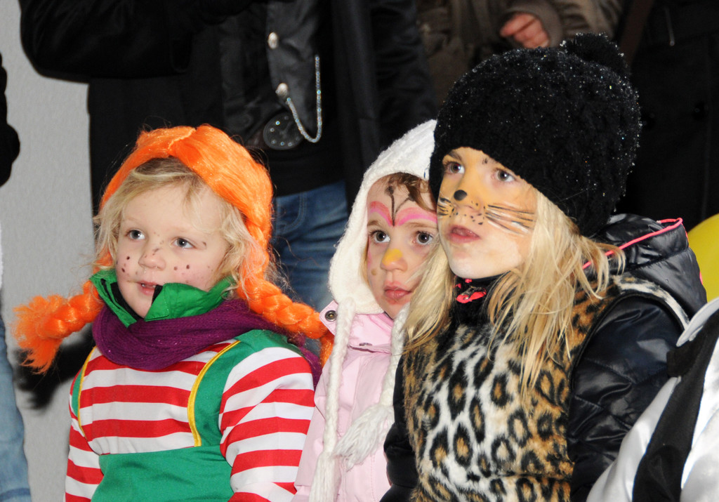 Kinderfasching Fu__ach 09-02-2013 135_jpg-1360438192