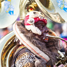 file68qhu2hubgx3n38hts_jpg-1360443298