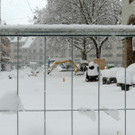 DSCN9398_JPG-1360445257