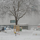 DSCN9403_JPG-1360445274