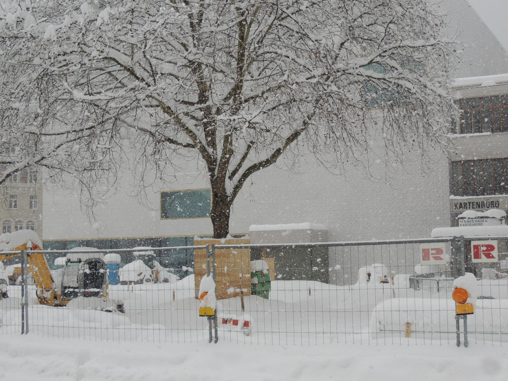 DSCN9403_JPG-1360445274