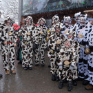 DSC01644_JPG-1360444741